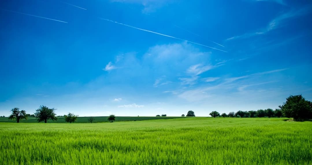 Photo du bien Parcelles de 400 m² avec titre foncier à vendre à Bohicon