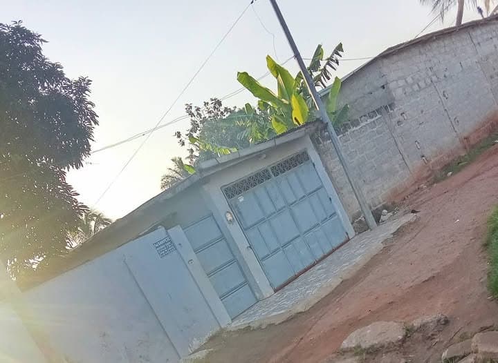 Photo du bien Maison avec boutique et garage à vendre à Cocotomey Zounga Vital-Gon